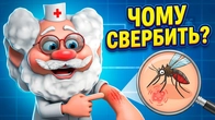 Чому наша шкіра свербить? | Лікар Лікарчук!