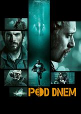 Pod dnem — plakat