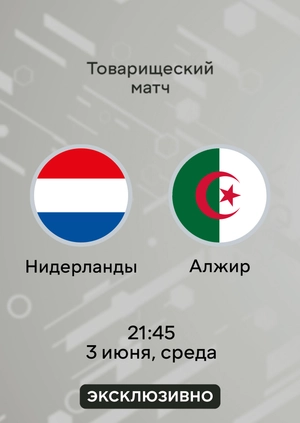 Нидерланды — Алжир