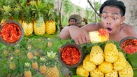 How to Harvest and Eat Pineapple in the Rainforest - Survival Skills with Primitive Boy