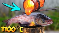 EXPERIMENT: LAVA vs FISH