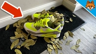 EVERYONE needs to put THIS Leaf in their Shoes(The reason is GENIUS)