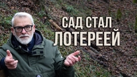 Серія 631