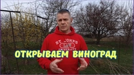 Раскрываем виноград, нюансы и рекомендации.