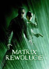 Matrix Rewolucje — plakat