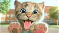 Little Kitten Preschool Adventure Educational Games Play Fun Cute Kitten Pet Care Gameplay Ep.1296
