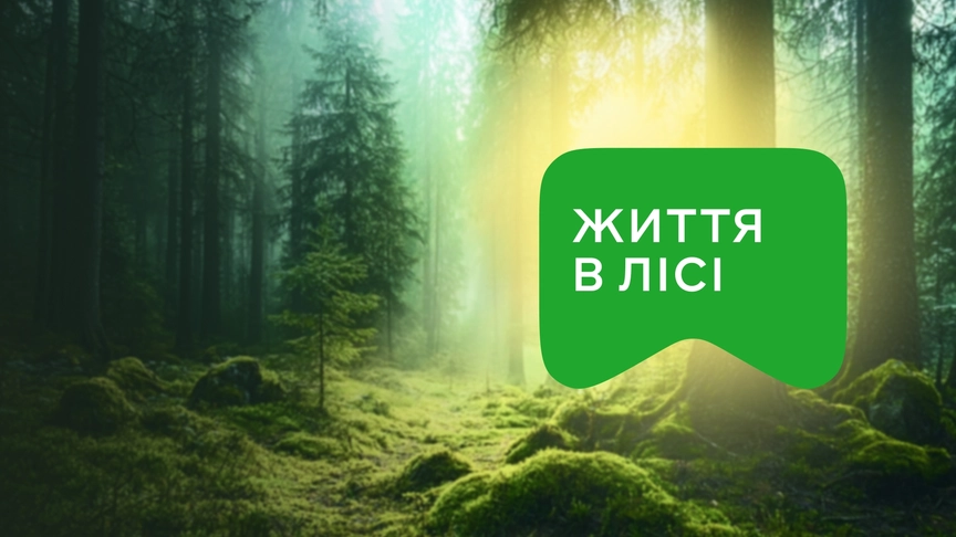 Проведіть час там, де панує природа