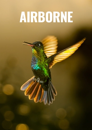 Airborne