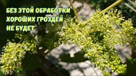 Серія 341