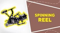 Spinning reel