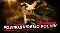 Олюднюємо тварин, розлюднюємо росіян