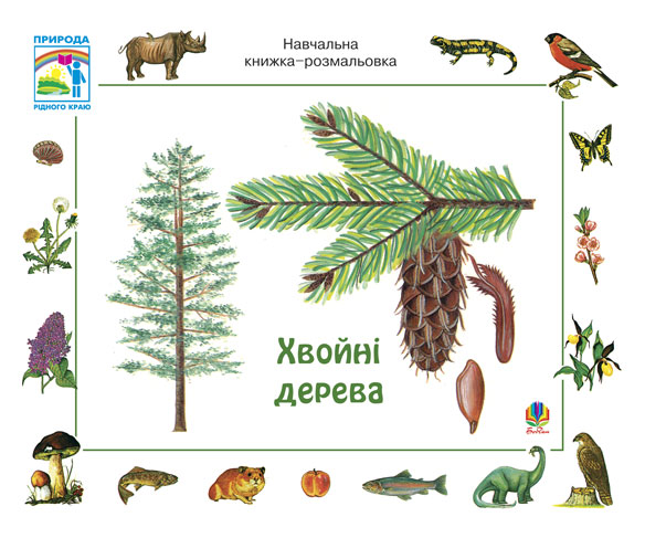 Хвойні дерева. Навчальна книжка-розмальовка