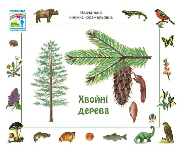 Хвойні дерева. Навчальна книжка-розмальовка