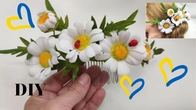 НАДЗВИЧАЙНО МОЇ УЛЮБЛЕНІ РОМАШКИ