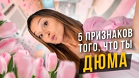 5 признаков, что ты Дюма ISFP. Cоционика