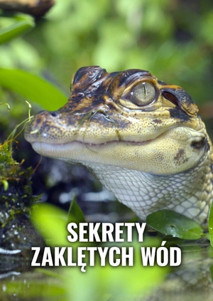 Sekrety zaklętych wód