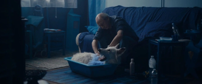 Синя собака