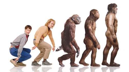 Тупий та ще тупіший тупого: Як Гаррі зустрів Ллойда