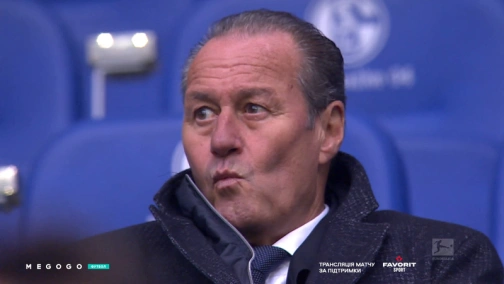 Round 11. Schalke — Fortuna 3:3. Highlights