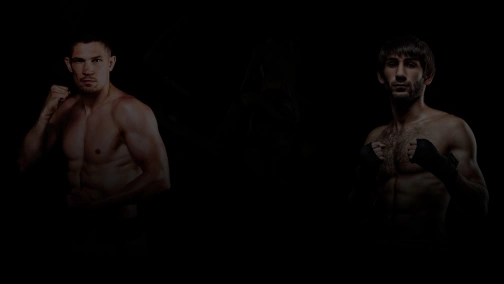 Вечер профессионального бокса