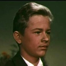 Vladimir Lushchik