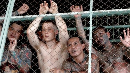 Молитва перед світанком UHD