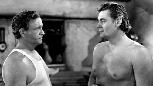 Тарзан и амазонки