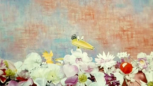 Мой зеленый крокодил