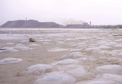 Территория пустых окон