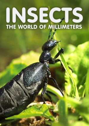 Insects, The World of Millimeters