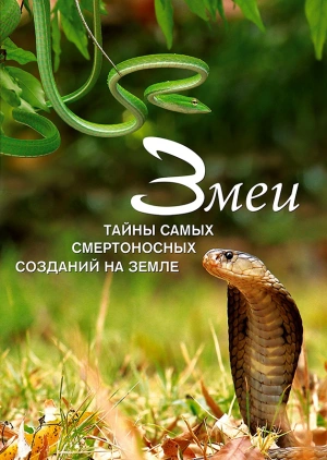 Змеи. Тайны самых смертоносных созданий на земле
