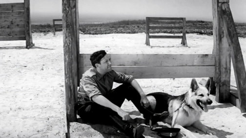 До мене, Мухтар!