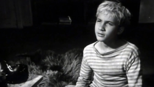 Над нами Південний хрест