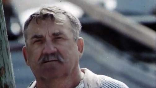 Белеет парус одинокий