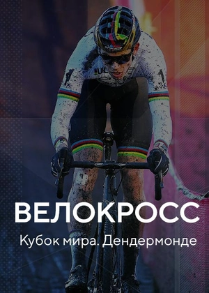 Велокросс. Кубок мира. Дендермонде