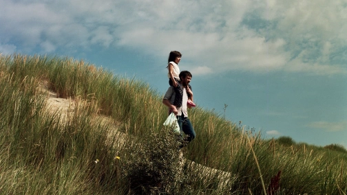 Слон и бабочка