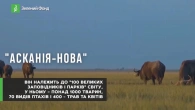 26 травня