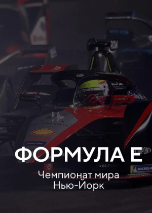Формула E. Чемпионат мира Нью-Йорк