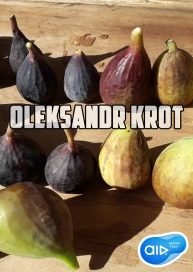 Oleksandr Krot