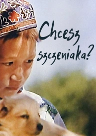 Chcesz szczeniaka?