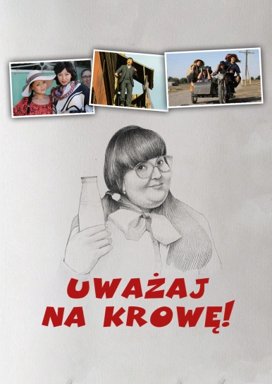 Uważaj na krowę!