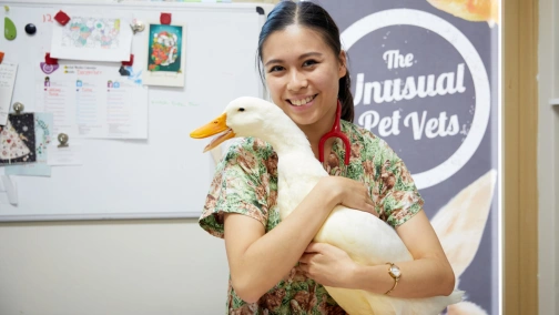 Weterynarze od dziwnych stworzeń