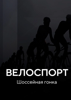 Велоспорт. Шоссейная гонка