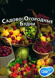 Садово-Огородные Будни