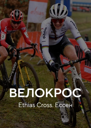 Велокрос. Ethias Cross. Мальдегем
