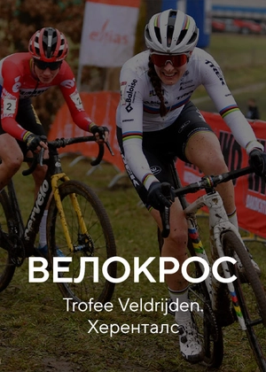 Велокрос. Trofee Veldrijden. Херенталс