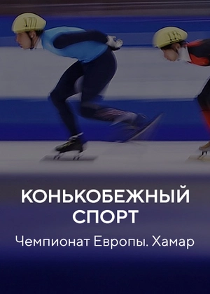 Конькобежный спорт. Чемпионат Европы. Хамар