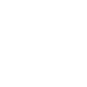 Biz TV