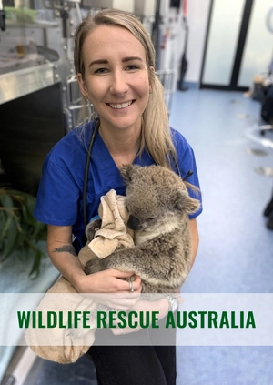 Wildlife Rescue Australia