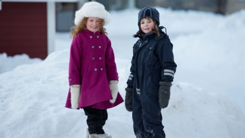 Сів заблукала уві сні